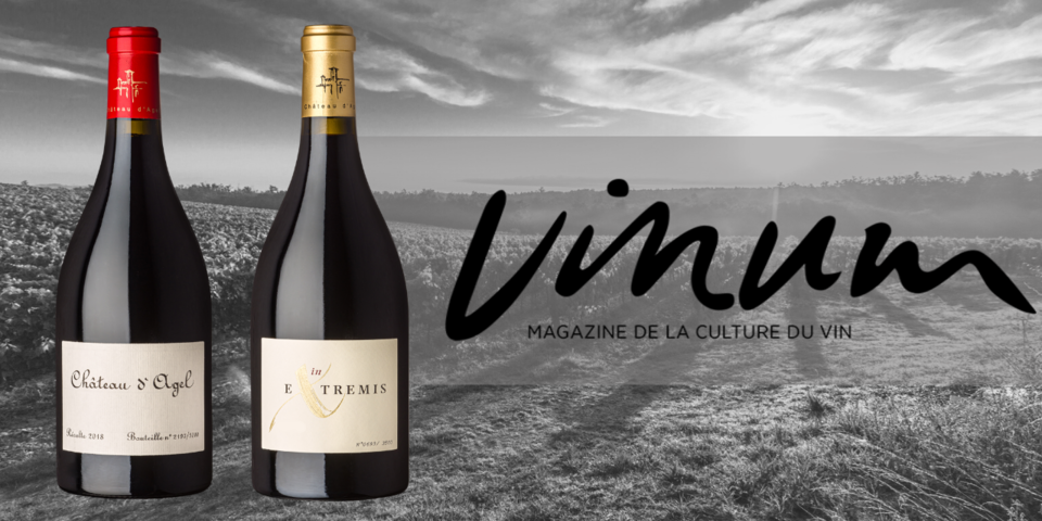 Vinum Magazine